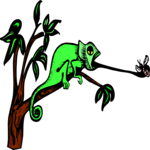 Iguana 8 Clip Art