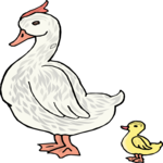 Duck & Duckling Clip Art