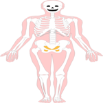 Skeleton 01 Clip Art