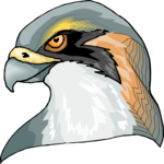 Hawk 6 Clip Art