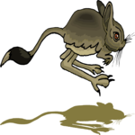 Kangaroo Rat 2 Clip Art