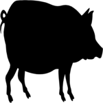 Pig 03 Clip Art