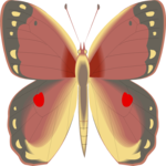Butterfly 075 Clip Art