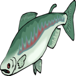 Salmon 2 Clip Art