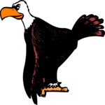 Eagle 07 Clip Art