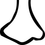 Nose 23 Clip Art