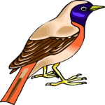 Bird Perched 55 Clip Art