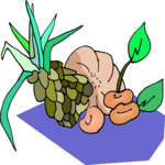 Pineapple 15 Clip Art