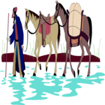 Pack Horses Clip Art