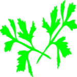 Parsley Clip Art