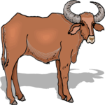 Ox 2 Clip Art