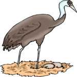 Crane 12 Clip Art