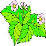 Flowers 228 Clip Art