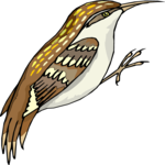 Bird 173 Clip Art