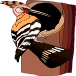 Hoopoe 8 Clip Art