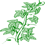 Plant 069 Clip Art