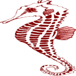 Seahorse 08 Clip Art