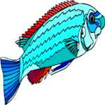 African Cichlid 4 Clip Art