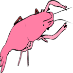 Shrimp 1 Clip Art