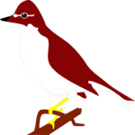 Wood Thrush Clip Art