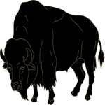 Buffalo 07 Clip Art