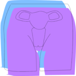 Reproductive - Female 4 Clip Art