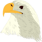 Eagle 45 Clip Art