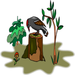 Woodpecker 12 Clip Art