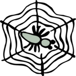 Spider & Web 2 Clip Art