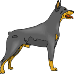 Doberman 8 Clip Art