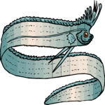 Oarfish 2 Clip Art