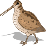 Sandpiper 3 Clip Art