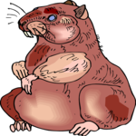 Hamster Clip Art