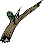 Branch 6 Clip Art