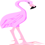 Flamingo 08 Clip Art