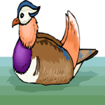 Duck - Mandarin 1 Clip Art