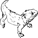 Lizard 1 Clip Art