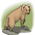 Bear 25 Clip Art