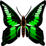 Butterfly 052 Clip Art