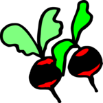 Radishes 3 Clip Art