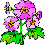 Primrose 3 Clip Art