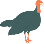 Turkey 2 Clip Art