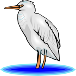 Bird 145 Clip Art