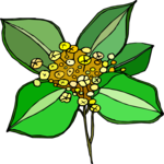 Flower 388 Clip Art