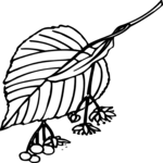 Leaf 028 Clip Art