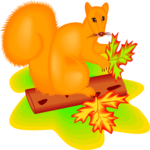 Squirrel 10 Clip Art