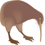 Kiwi Bird 3 Clip Art