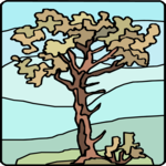 Tree 207