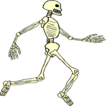 Skeleton 20 Clip Art