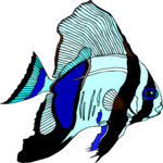 Batfish Clip Art